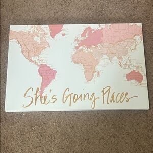 Hobby Lobby Pink and Gold World Map Art